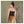 PALMINA TOP